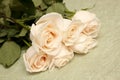 White rose bouquet