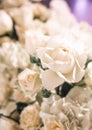 White rose bouquet many flowers full background