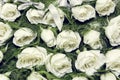 White Rose Boutonniere