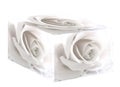 White Rose Box Royalty Free Stock Photo