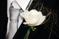 White Rose Buttonhole