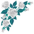 White rose corner with blue leaf isolated on white Royalty Free Stock Photo