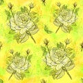 White rose with dragonfly seamless pattern on yellow background Royalty Free Stock Photo