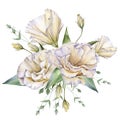 White Rose. Eustoma. Isolated on a white background.