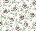 White Rose Flower Vector Pattern. Cite Floral Seamless Background. Elegant Tiffany Cream Roses With Leaves, Grey Wallpaper.
