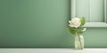 White rose flower and window with sun light copy space blurred background Royalty Free Stock Photo