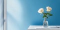 White rose flower and window with sun light copy space blurred background Royalty Free Stock Photo