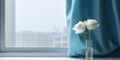 White rose flower and window with sun light copy space blurred background Royalty Free Stock Photo