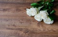 White rose flowers on a wooden background, vintage toned Royalty Free Stock Photo