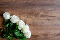 White rose flowers on a wooden background, vintage toned Royalty Free Stock Photo