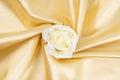 White rose on gold color silk