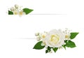 White rose, jasmine (Philadelphus) and gypsophila flowers with white card for text isolated on white