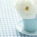 White rose in a light blue vase Royalty Free Stock Photo