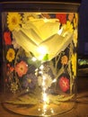 White Rose Night Light With dry Pressed flowers