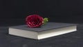 White rose and notebook