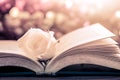 White rose on the open book on bokeh background Royalty Free Stock Photo
