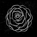 White rose outline with gray spots on a black background. Royalty Free Stock Photo