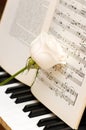 White rose over music sheets and piano keys Royalty Free Stock Photo