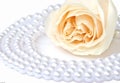 White rose and pearl necklace