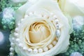 White rose with pearl necklace Royalty Free Stock Photo