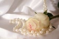 White rose and pearls