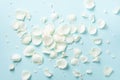 White rose petals over blue background. Valentine`s day, Women`s day concept. Festive texture with copy space. Flat lay, top vie