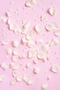 White rose petals over pink background. Valentine`s day, Women`s day concept. Festive texture with copy space. Flat lay, top vie Royalty Free Stock Photo