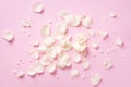 White rose petals over pink background. Valentine`s day, Women`s day concept. Festive texture with copy space. Flat lay, top vie Royalty Free Stock Photo