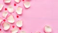 White rose petals on pastel pink background. Valentine or wedding abstract background. Royalty Free Stock Photo