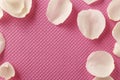 White rose petals on a quilted pink background Royalty Free Stock Photo