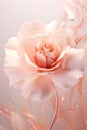 a white rose with pink swirls on a pink background.Pastel Art Pink Rose, Perfect for Wall Art.