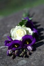 White rose and purple desert lilies or also called prairie bell on stone. Royalty Free Stock Photo