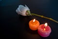 White rose with two candles on a black background Royalty Free Stock Photo