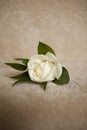 white rose wedding corsage