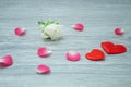 White rose on a wooden, gray table with gently pink petals and silk, red hearts. Royalty Free Stock Photo