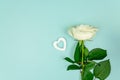 White rose with wooden hearts on light blue background. Top view layout with copy space. Festive greeting card for holidays Royalty Free Stock Photo