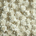 White Roses Adorning Wall Royalty Free Stock Photo