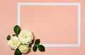 White roses arrangement on pastel background