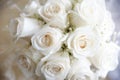 White roses and baby`s breath bridal bouquet, romantic floral arrangement and bride`s or bridesmaids accessory for the wedding day Royalty Free Stock Photo