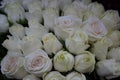 White Roses Background. Variety of white roses in beautiful bouquet. Bridal bouquet of white rose in bright colors in flower shop Royalty Free Stock Photo