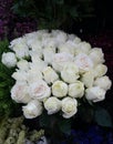 White Roses Background. Variety of white roses in beautiful bouquet. Bridal bouquet of white rose in bright colors in flower shop Royalty Free Stock Photo