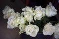 White roses Royalty Free Stock Photo
