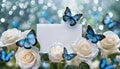 White roses and blue butterflies background with copy space. Spring floral beautiful easter card. Fresh flowers. Royalty Free Stock Photo