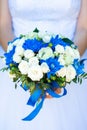 White roses and blue chrysanthemums in a lush beautiful wedding bouquet with a blue ribbon in the hands of the bride.