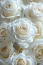 White Roses in a Bouquet