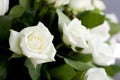 White roses close-up in the basket. A bouquet of beautiful white roses in a wicker basket.