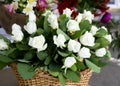 White roses close-up in the basket. A bouquet of beautiful white roses in a wicker basket. Delicate white roses close-up. Royalty Free Stock Photo