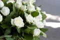 White roses close-up in the basket. A bouquet of beautiful white roses in a wicker basket. Delicate white roses close-up. Royalty Free Stock Photo