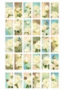 White Roses Domino A4 Collage Sheet Royalty Free Stock Photo
