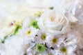 White roses flower background. - (Selective focus) Royalty Free Stock Photo